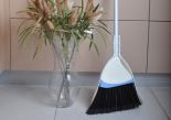 Dustpan w/broom 